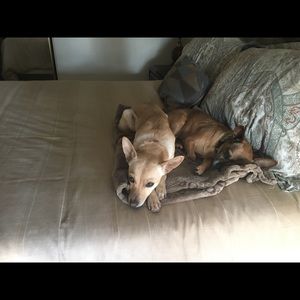 Meet your Posher, Leslie